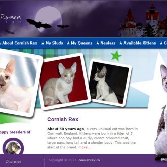 Cornish Rex