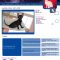 Cornish Rex 4