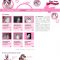 Ragdoll 4